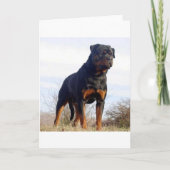 Rottweiler Kaart (Voorkant)