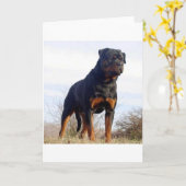 Rottweiler Kaart (Gele Bloem)