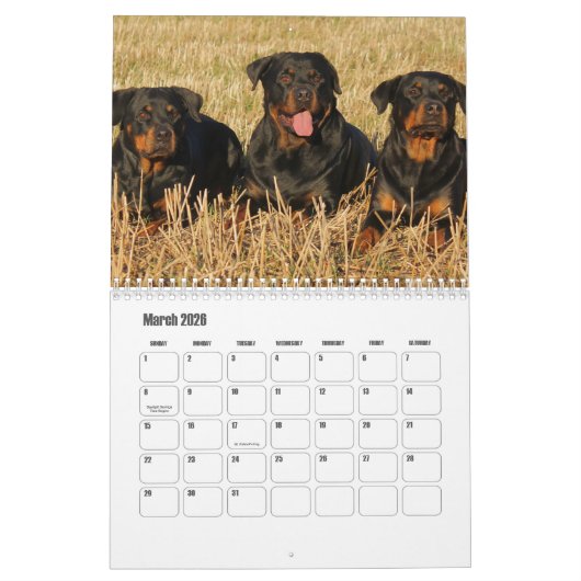rottweiler-kalender kalender (Mar 2026)