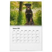 rottweiler-kalender kalender (Feb 2026)