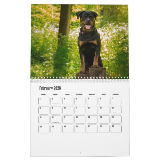 rottweiler-kalender kalender (Feb 2026)