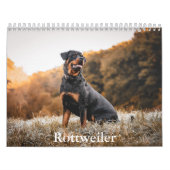 rottweiler-kalender kalender (Hoes)