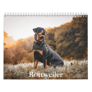 rottweiler-kalender kalender