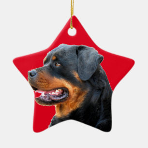 Rottweiler Keramisch Ornament