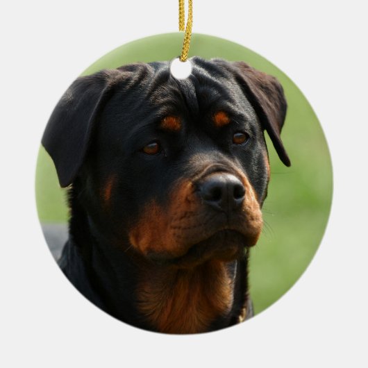 Rottweiler Keramisch Ornament (Voorkant)