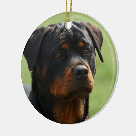 Rottweiler Keramisch Ornament (Links)