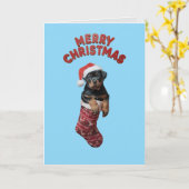 Rottweiler Kerst Kous. Kaart (Gele Bloem)