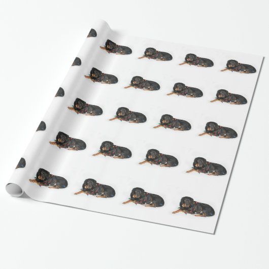 Rottweiler-kersthoek Cadeaupapier (Uitgerold)