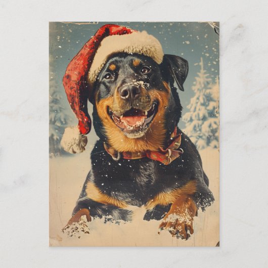 Rottweiler Kerstmis Briefkaart (Voorkant)