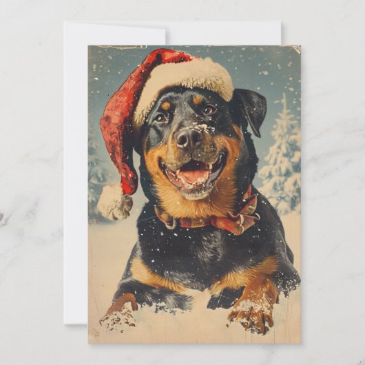 Rottweiler Kerstmis Feestdagenkaart (Voorkant)