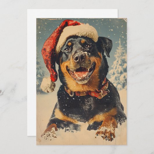 Rottweiler Kerstmis Feestdagenkaart (Voorkant / Achterkant)