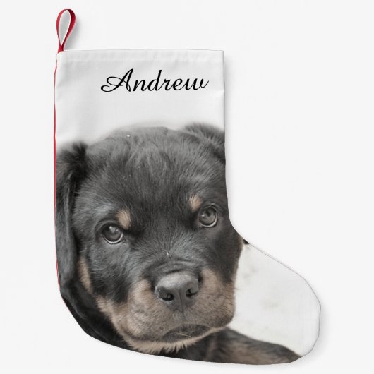 Rottweiler Kleine Kerstsok (Voorkant)