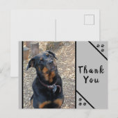 Rottweiler Kop Scheef Cuteness Dank Je Postkaart (Voorkant / Achterkant)