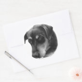 Rottweiler-Lab Mix Ronde Sticker (Envelop)