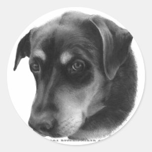 Rottweiler-Lab Mix Ronde Sticker
