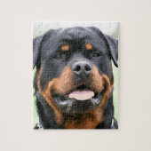 rottweiler legpuzzel (Verticaal)