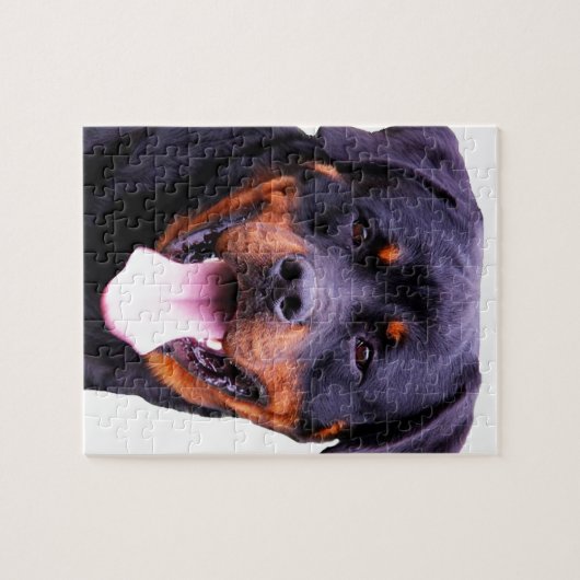 rottweiler legpuzzel (Horizontaal)