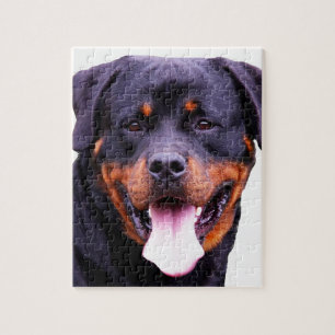 rottweiler legpuzzel
