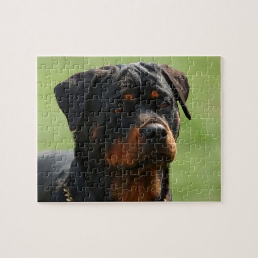 Rottweiler Legpuzzel (Horizontaal)