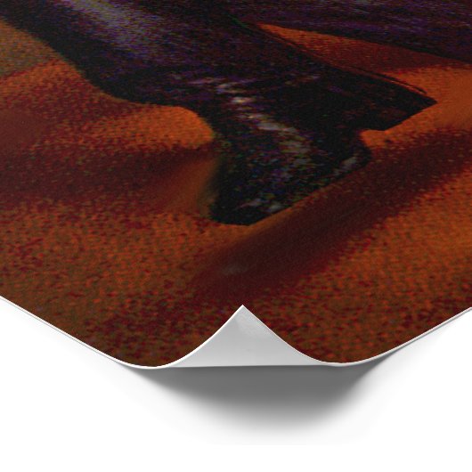 Rottweiler - Lincoln Poster (Hoek)