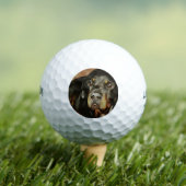 Rottweiler Lover Pet Portret Golfballen (Insitu Shirt)