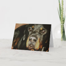 Rottweiler Lover Pet Portret