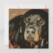 Rottweiler Lover Pet Portret Kaart (Voorkant)