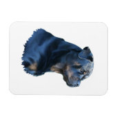 Rottweiler Magneet (Horizontaal)