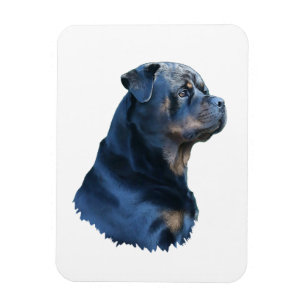 Rottweiler Magneet