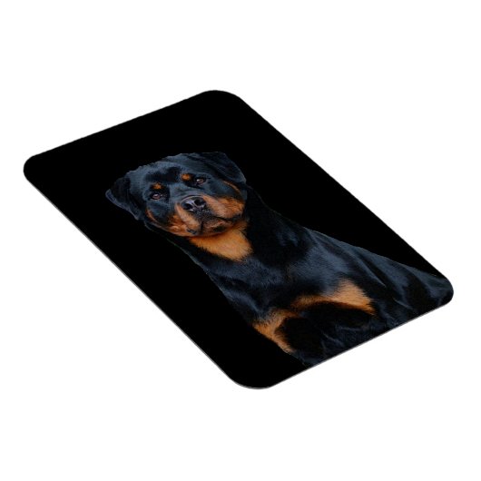 Rottweiler Magneet (Rechterzijde)