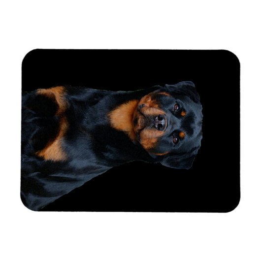 Rottweiler Magneet (Horizontaal)