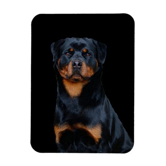 Rottweiler Magneet (Verticaal)