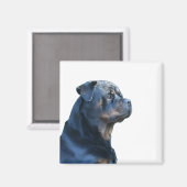 Rottweiler Magneet (Voorkant / Achterkant)