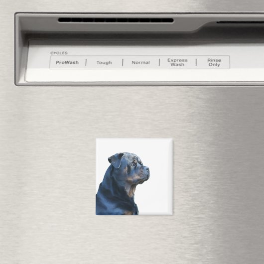 Rottweiler Magneet (Insitu (Vaatwasser))