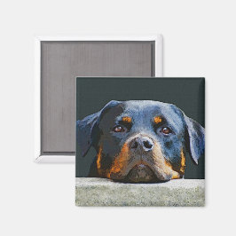 Rottweiler Magneet