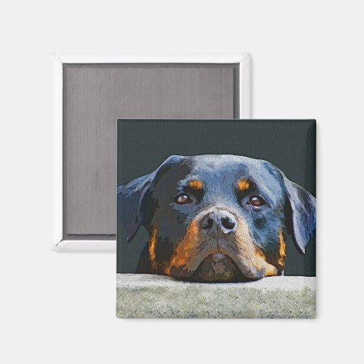 Rottweiler Magneet (Voorkant / Achterkant)
