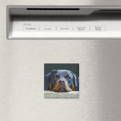 Rottweiler Magneet (Insitu (Vaatwasser))
