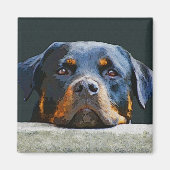 Rottweiler Magneet (Voorkant)