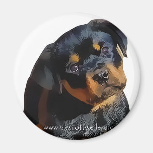 Rottweiler Magneet