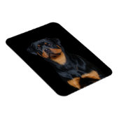 Rottweiler Magneet (Rechterzijde)