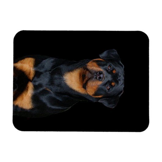 Rottweiler Magneet (Horizontaal)