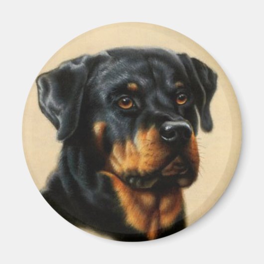 Rottweiler Magneet (Voorkant)