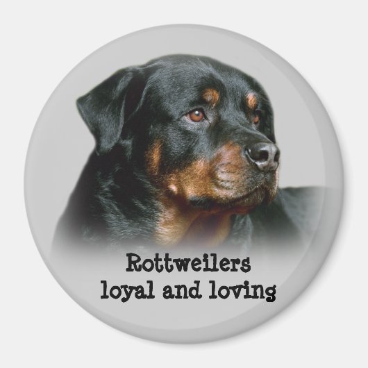 Rottweiler Magnet (Voorkant)