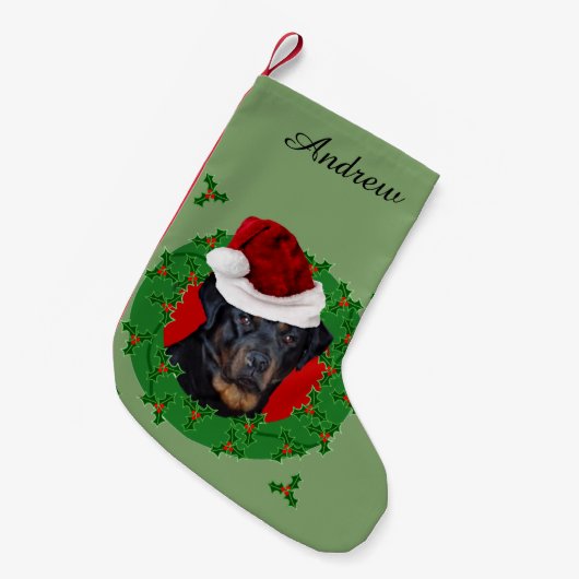 Rottweiler met kerstmis kleine kerstsok (Voorkant (Hangend))