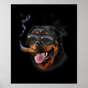 Rottweiler met sigaar dragende glazen poster