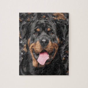 Rottweiler - Metzgerhund Legpuzzel