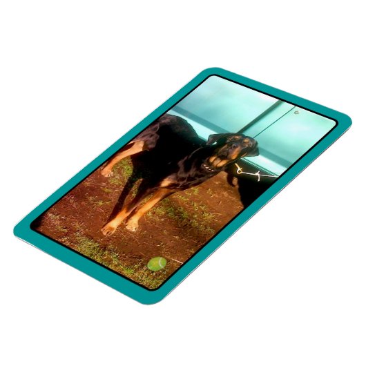 Rottweiler mixmagneet magneet (Linkerzijde)