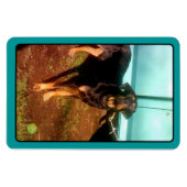 Rottweiler mixmagneet magneet (Horizontaal)