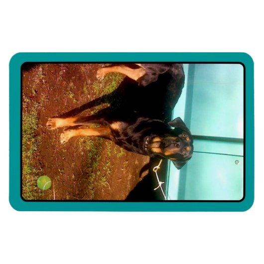 Rottweiler mixmagneet magneet (Horizontaal)