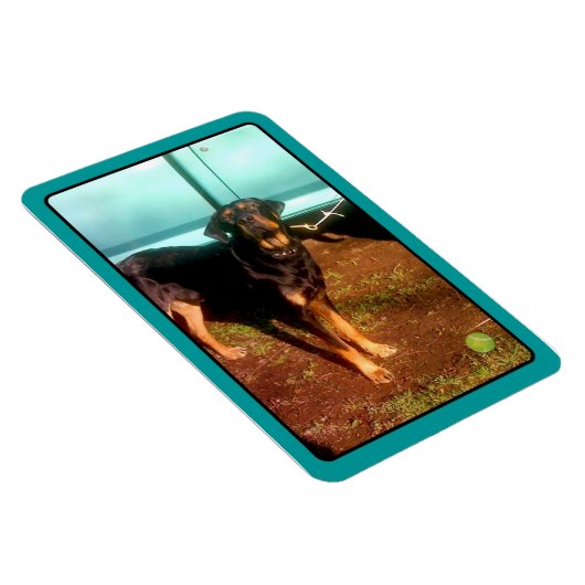 Rottweiler mixmagneet magneet (Rechterzijde)